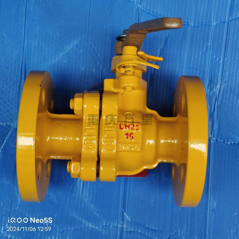 調(diào)整大小 微信圖片_20241107131244.jpg