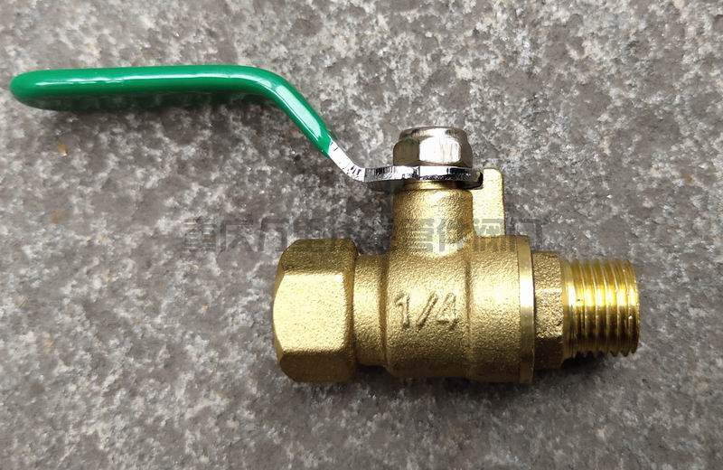 調整大小 default(3).jpeg