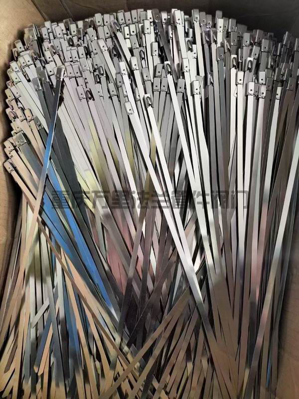 調(diào)整大小 微信圖片_20250422143958.jpg