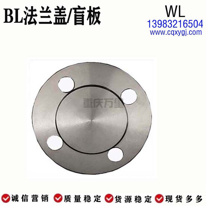 <strong>碳鋼 法蘭蓋 盲板 </strong>